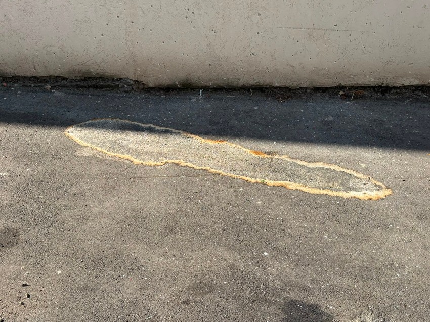 Bačena bomba na Zvezdari