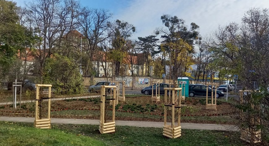Na pl. Daniłowskiego pojawiło się kilkadziesiąt drzew