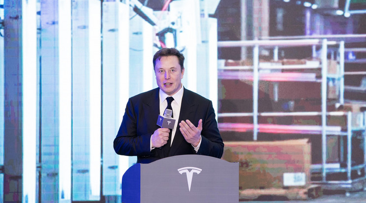 Elon Musk Twitter-megőrülése nem zárult túl nagy sikerrel. /Fotó:NorthFoto