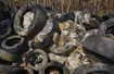 Setki opon i śmieci wyrzucone w Nadleśnictwie Lubsko