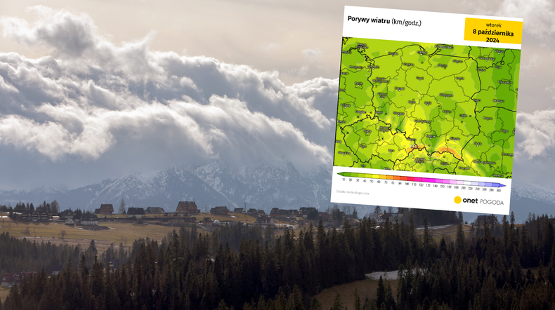 Groźne prognozy dotyczące wiatru. W górach powieje bardzo silny halny (screen: meteologix.com)