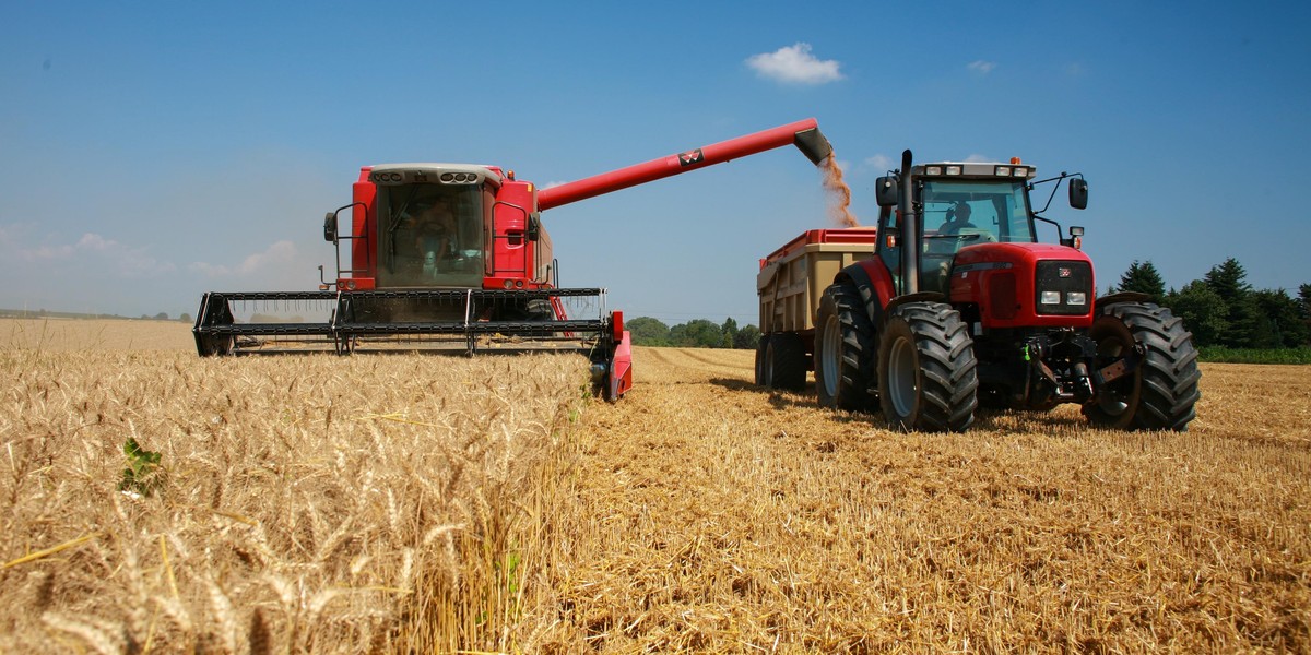 Traktor i bizon na polu