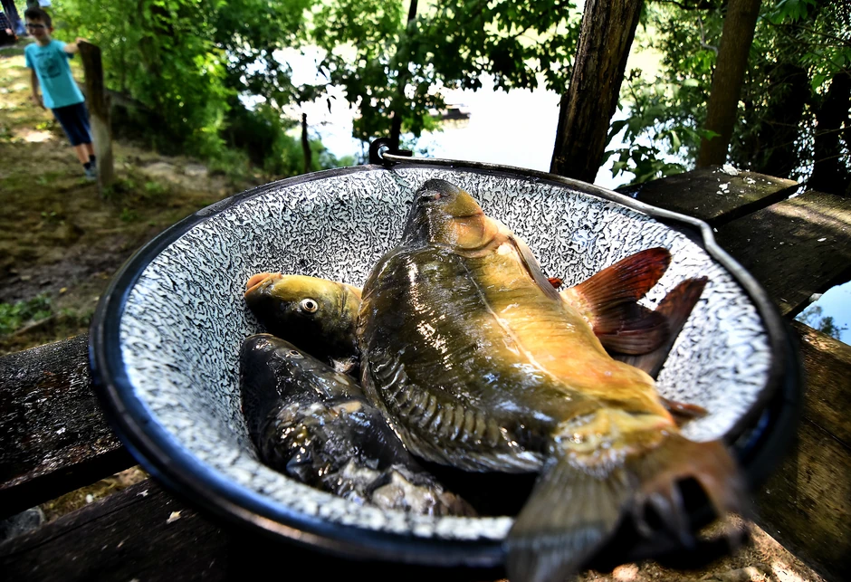 unesco foto Nenad Mihajlovic