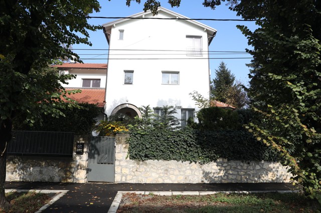 Vila Gorana Bregovića