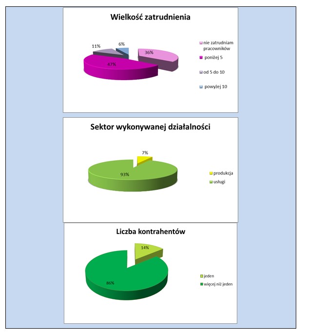 Struktura badanych firm