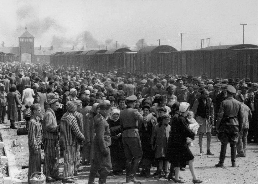 Selekcja węgierskich Żydów na rampie w Auschwitz, domena publiczna