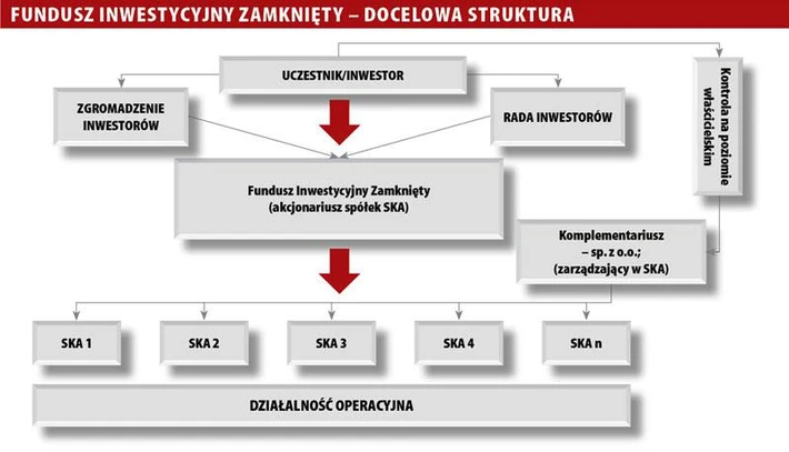 Struktura docelowa FIZ