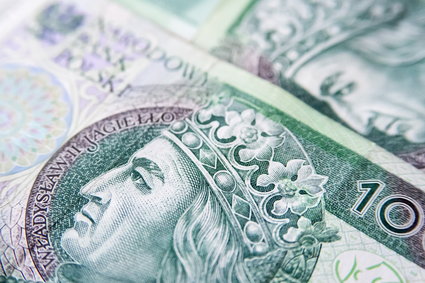 Polacy coraz większą część oszczędności trzymają w walutach obcych