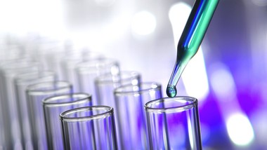 hr jako partner biznesu – jak gsk buduje dojrzałą organizację przyszłości