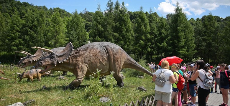 Oto najpopularniejsze atrakcje regionu. Wygrywa JuraPark w Bałtowie [LISTA]