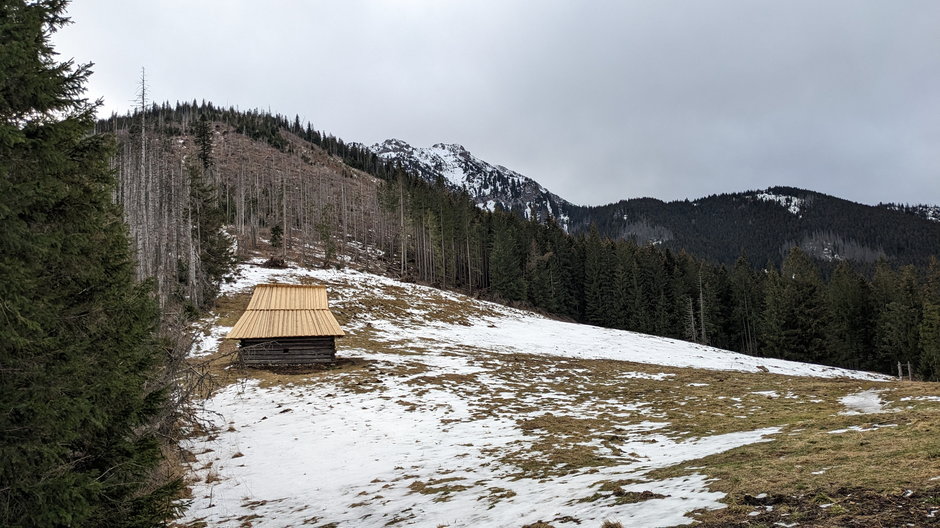 Polana Kominiarski Przysłop. Tatry Zachodnie. 