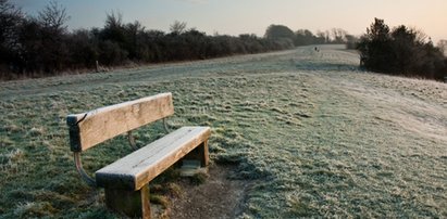 Pierwsza ofiara mrozów na Dolnym Śląsku