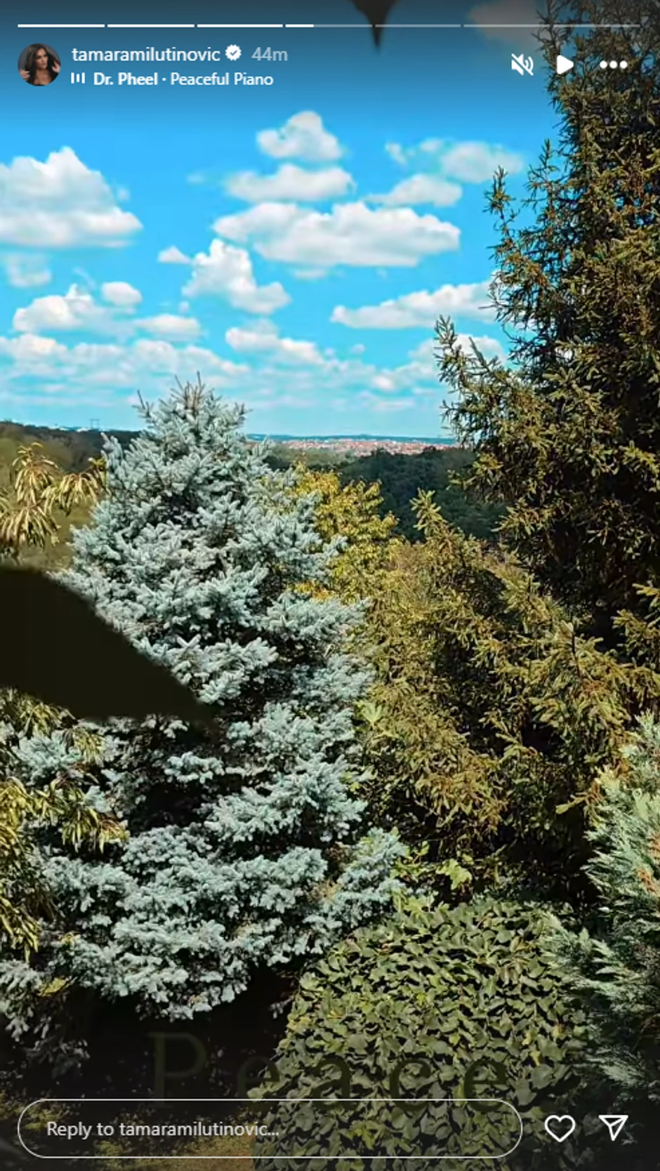 Porodično imanje Tamare Milutinović