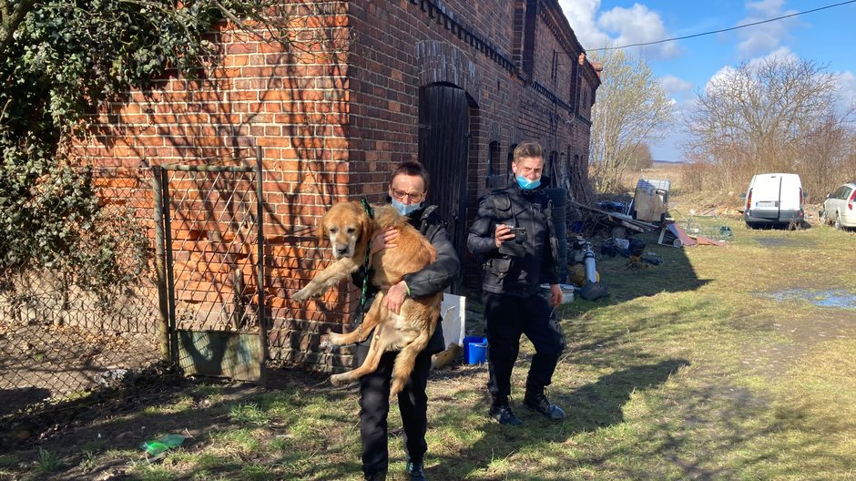 Krystyna Pietruszka i Konrad Kuźmiński