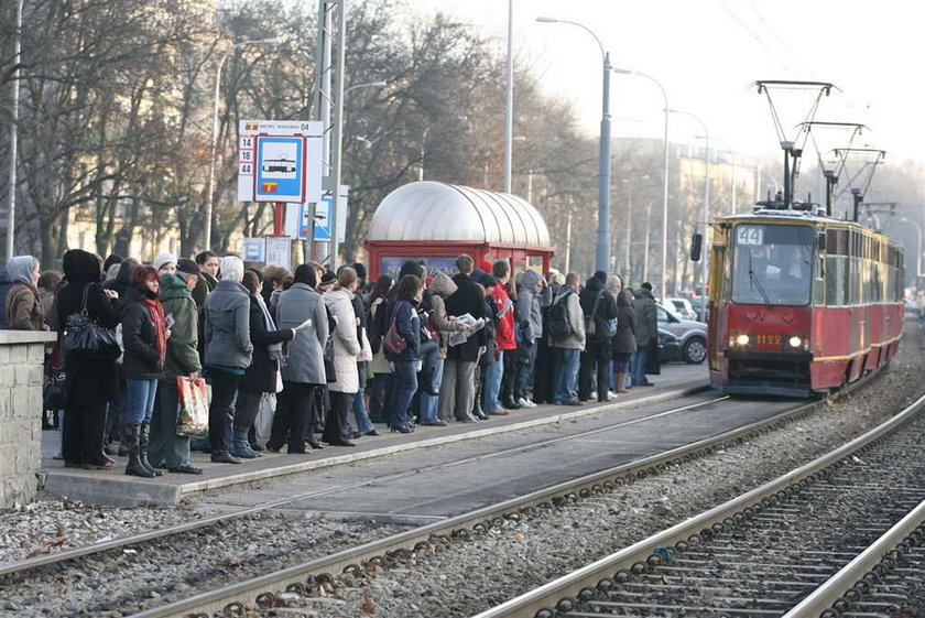 Wożą nas jak bydło!