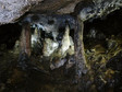 Jaskinia w Rezerwacie "Zielona Góra"