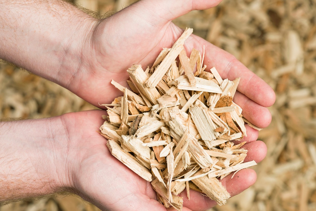 Wood chips significantly reduced the number of ticks. (illustrative photo)