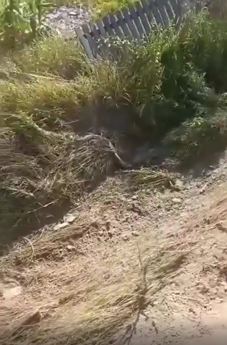 Ceroviti potok, Mali Crljani, autobus sletio s puta