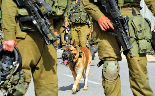 Izraelscy żołnierze z psem