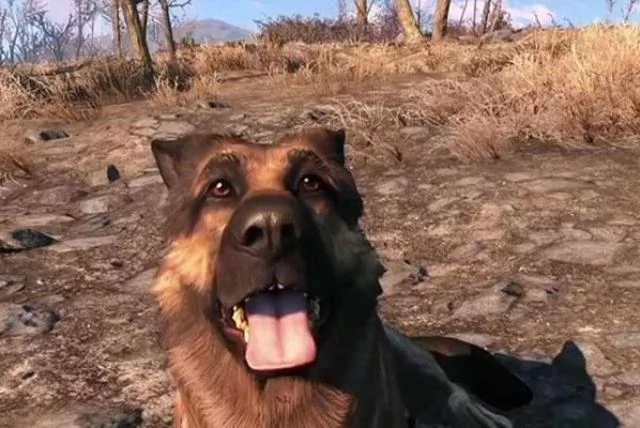 Dogmeat będzie na pewno jednym z wielu towarzyszy podróży bohatera. Tym razem czworonożny przyjaciel nie będzie mógł jednak zginąć!