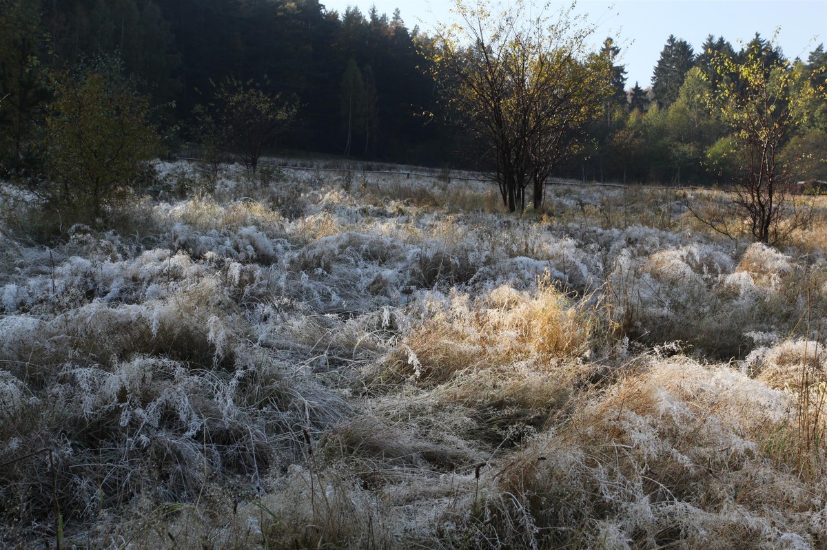 IMGW warns against frosts. Arctic air is coming over Poland