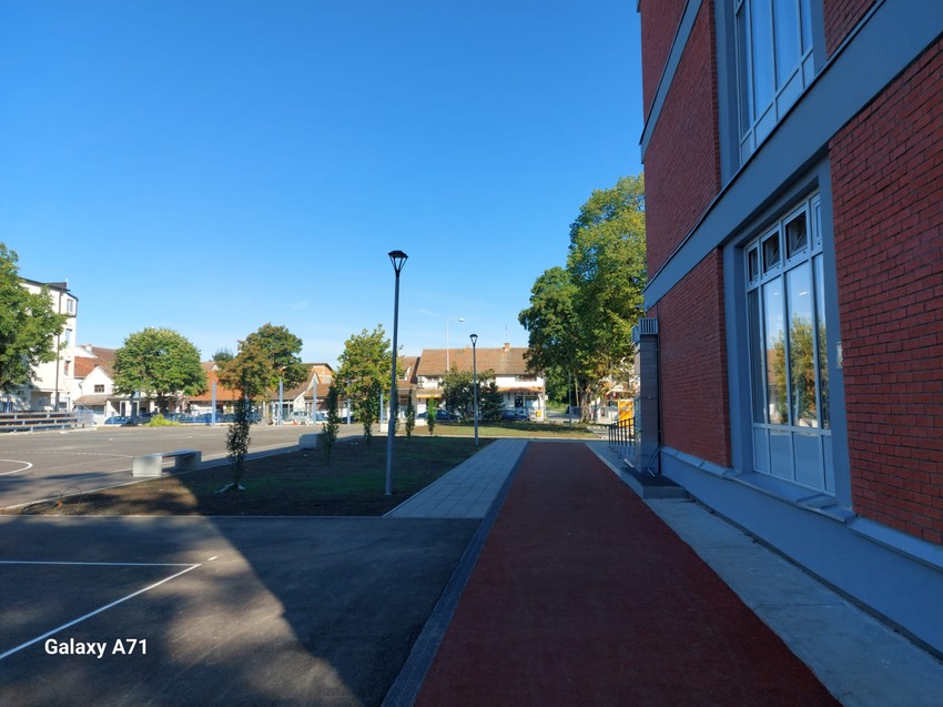 "Svetislav Golubović Mitraljeta"