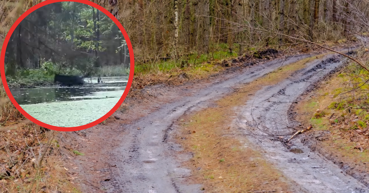 Co grozi przedsiębiorcy za utwardzanie drogi gminnej odpadami