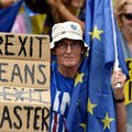 Brexit na brytyjskim rynku pracy? Szukają zatrudnienia w Irlandii, Australii, Kanadzie