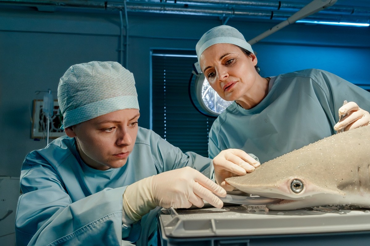 "Zwierzyniec doktor Mertens"