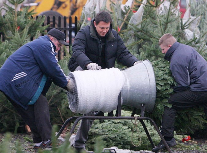 Krzysztof Ibisz wydał 100 zł na prawdziwą choinkę