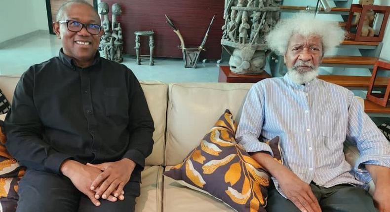 The Labour Party presidential candidate visits the iconic playwright, Prof Wole Soyinka. [Twitter:PeterObi]