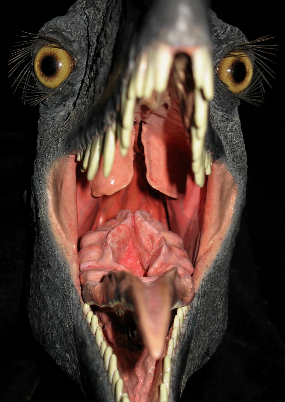 Užičanin svojim kreacijama dočarava bića koja su davno hodala zemljom