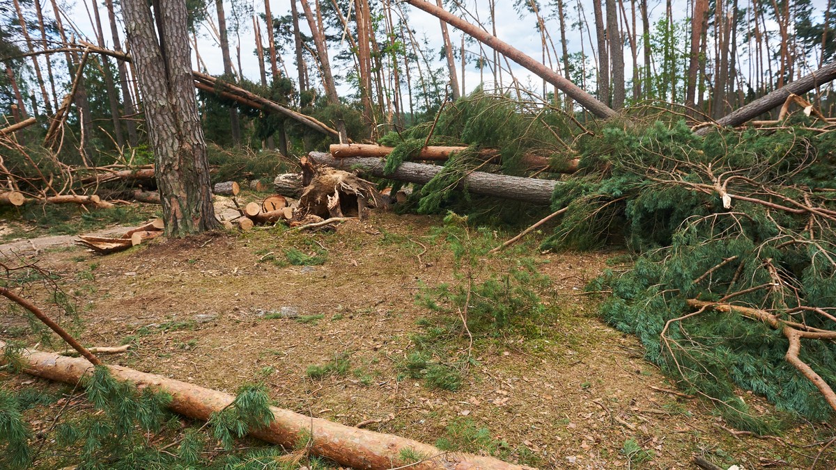 Tragedia w Suszku. Szósta osoba z zarzutami