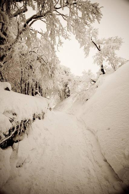 Galeria Polska - Bieszczady w zimowej szacie, obrazek 17