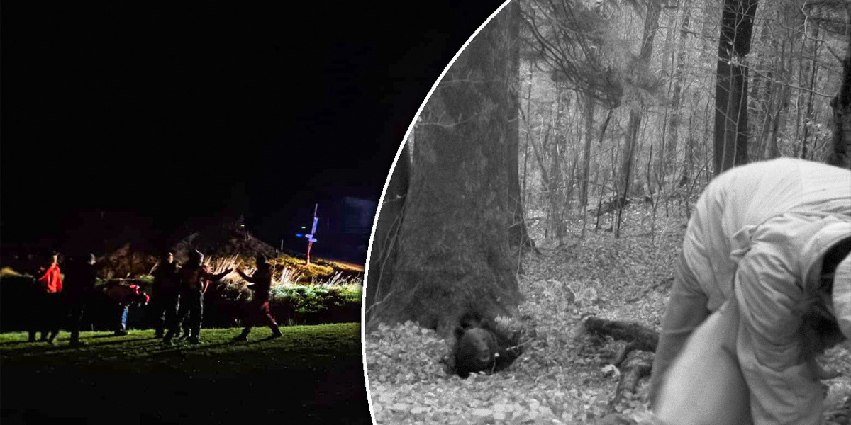 Fotopułapka uwieczniła atak niedźwiedzia na człowieka w Bieszczadach.