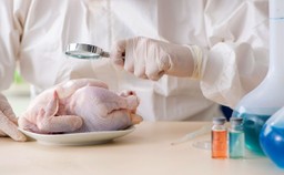 Silniejszy nadzór nad sprzedawaną żywnością. Nowelizacja ustawy o IJHARS skierowana do podpisu prezydenta