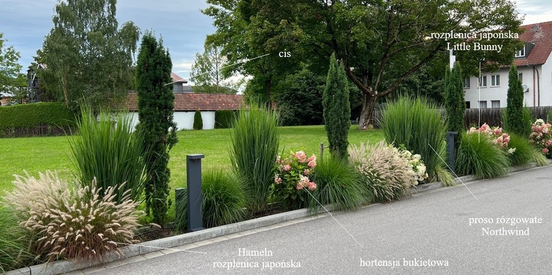 rabata wzdłuż podjazdu jakie rośliny wybrać