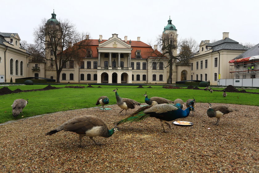 Skarb znaleziony w muzeum