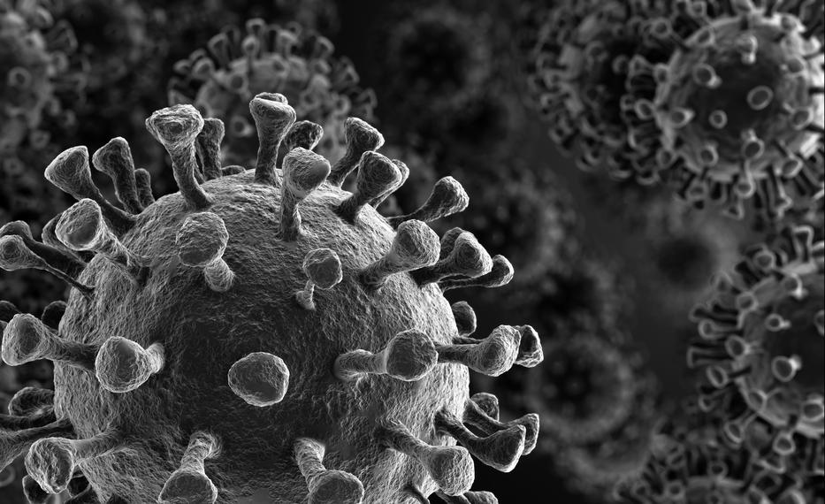 192 országban van jelen a koronavírus - fotó: Shutterstock