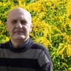 Ambrozija je najpoznatija i najopasnija alergena biljka na svetu, ali ima i lekovita svojstva