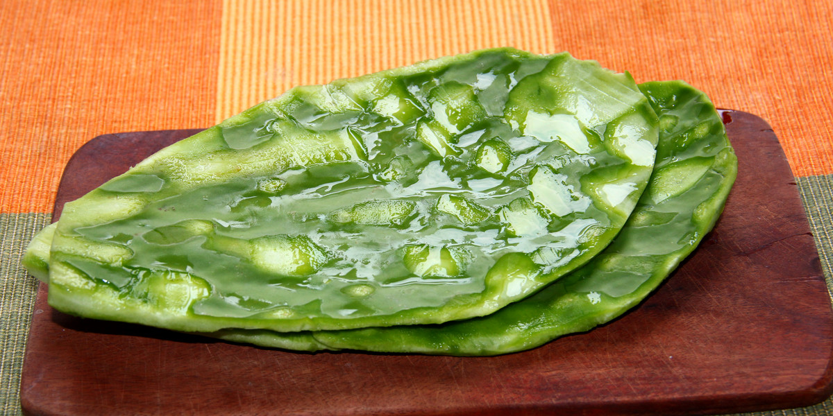 Dieta Nopal