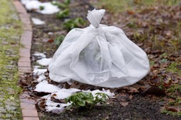 nadciągają silne mrozy. ostrzeżenie dla ogrodników przed spadkami temperatur do -18°c imgw prognoza pogody mapa