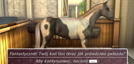 Screen z gry "Kocham konie 2"