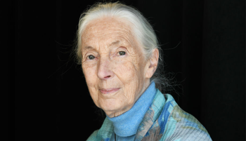 Ezek voltak Jane Godall utolsó szavai - A Netflix dokumentumfilmjét mindnekinek látnia kell