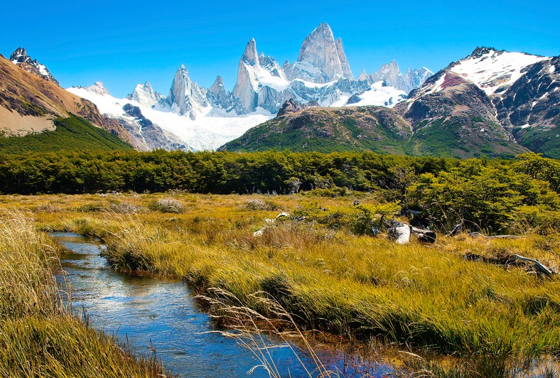 Patagonia - Andy na pograniczu argentyńsko-chilijskim (w tle Fitz Roy)