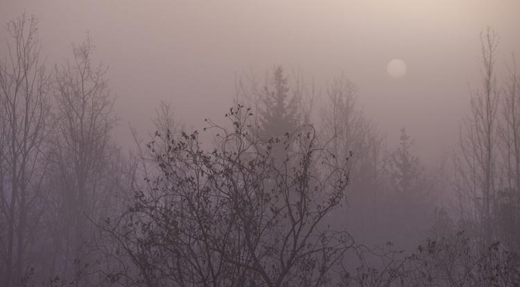 Hideg, ködös idő várható Fotó: Getty Images