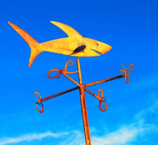 Media, politycy czy grupy interesu: kto nami steruje?