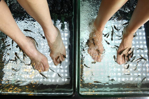 The First Fish Spa Therapy Opens In London