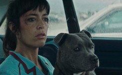 'Vincent musi umrzeć'. Jak z ofiary zrobić sprawcę [#DobryCynk]