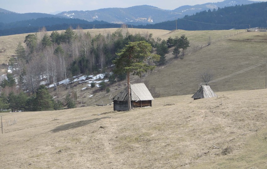 Marinkova kosa u podnožju Tornika